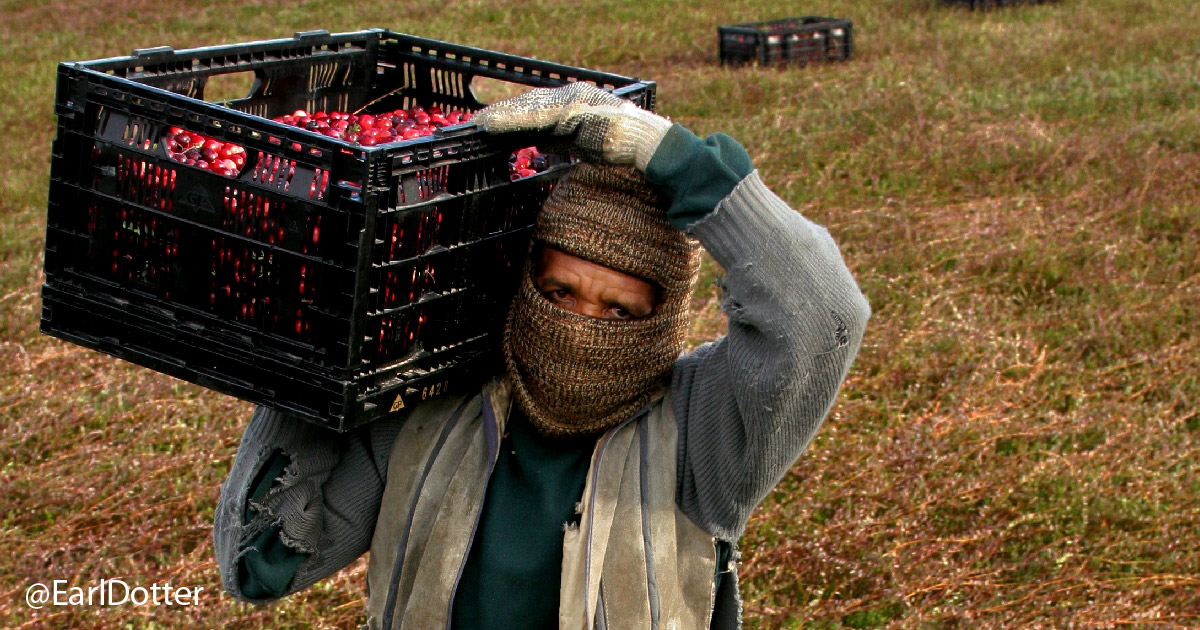Farmworker has face covered for pesticide