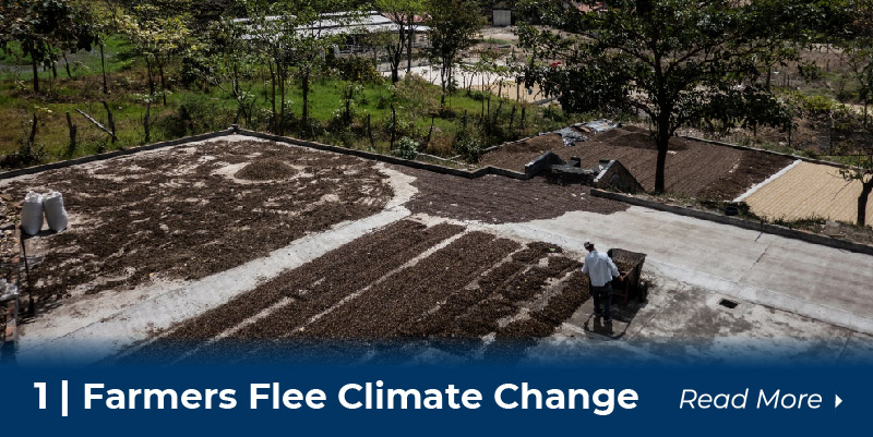 1 Farmers flee climate change
