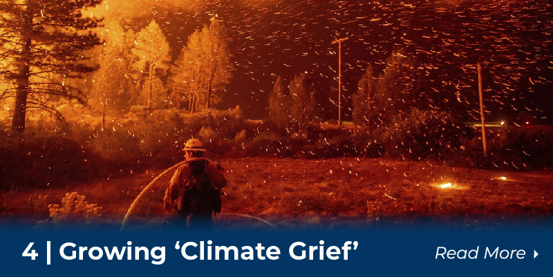 Climate Grief
