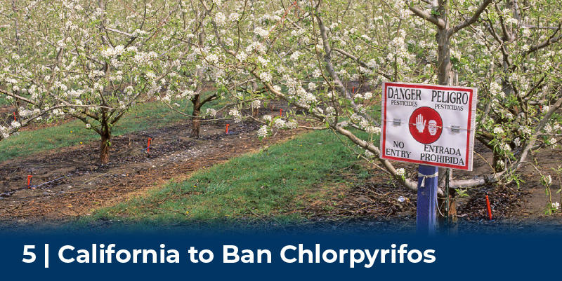 An orchard with warning signs for pesticide