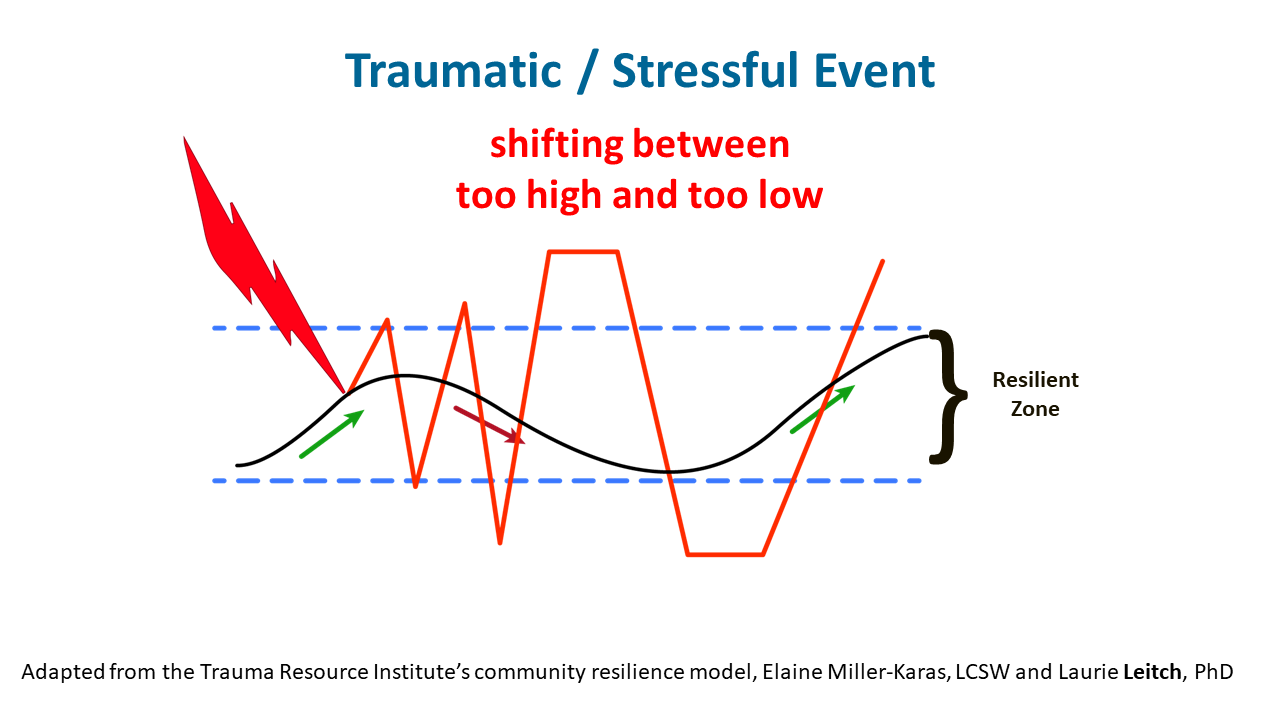 Resilience Zone graphic