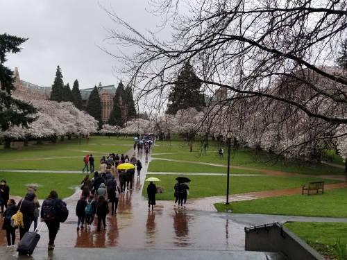 University of Washington campus