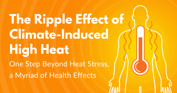 The Ripple Effect of Climate-Induced High Heat: One Step Beyond Heat Stress, a Myriad of Health Effects