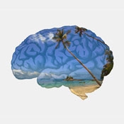 brain with beach and ocean