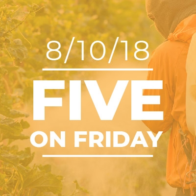 Five on Friday: Man spraying pesticide