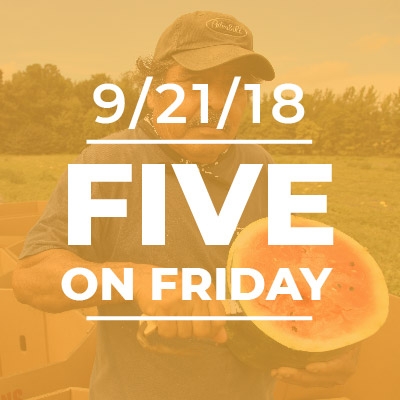 Five on Friday: NFSH Week