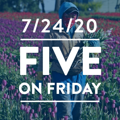 Five on Friday: The Hidden Toll of COVID-19