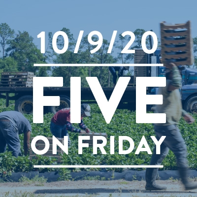 Five on Friday: State Protections Needed for Farmworkers