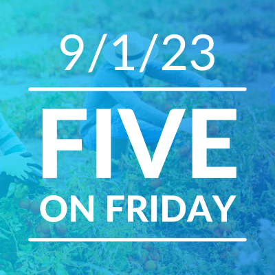 Five on Friday Thumbnail Image