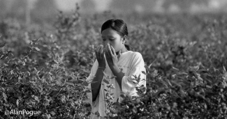 Farmworker girl coughs into hands