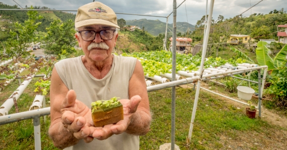 Farmer in Puerto Rico