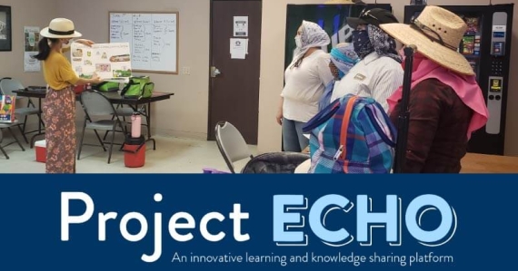 Using the Project ECHO Model to Effectively Provide Diabetes Education and Relevant Resources to CHWs Serving the Underserved Agricultural Worker Population