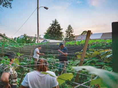 Farmworkers in the field