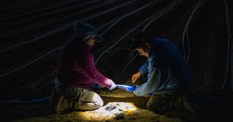 Farmers installing irrigation equipment in the dark