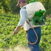 Farmworker applying pesticides