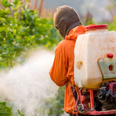 man spraying pesticides on plants