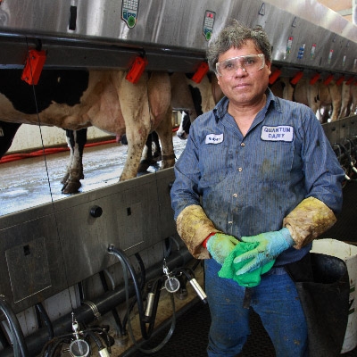 Man stands in front of dairy production line