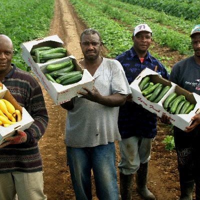 farmworkers pose with harvested produce