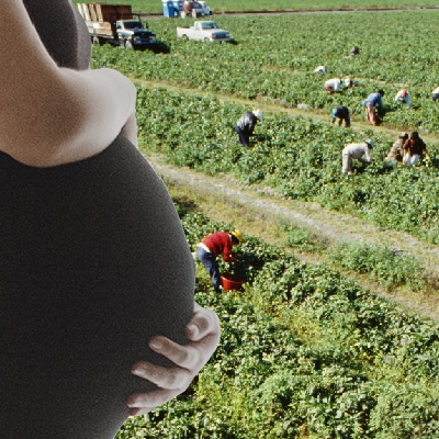 Pregnant woman stand in front of agricultural field