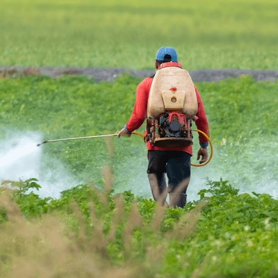 What Are PFAS, and How Do These "Forever Chemicals" Impact Farmworker Communities? MCN and Farmworker Justice Weigh In.